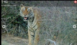 腾虎什么时候爆料的啊视频,揭秘幕后真相